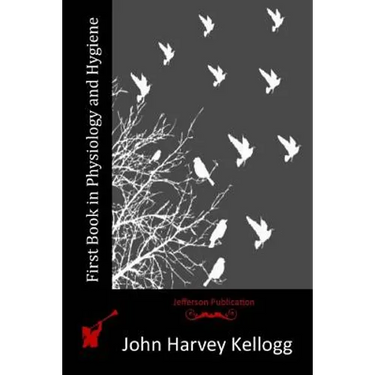 First Book in Physiology and Hygiene