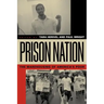 Prison Nation: The Warehousing of America's Poor