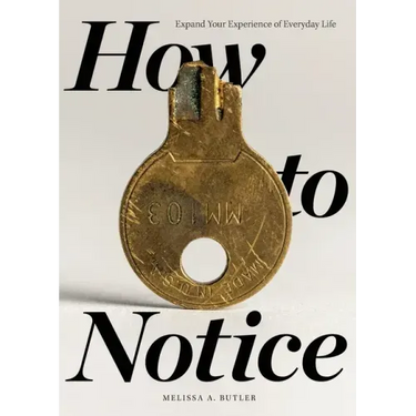 How to Notice: Expand Your Experience of Everyday Life
