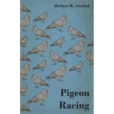 Pigeon Racing