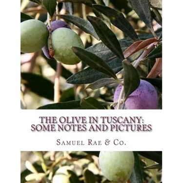 The Olive In Tuscany: Some Notes and Pictures