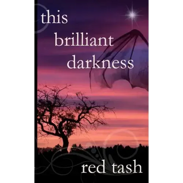 This Brilliant Darkness