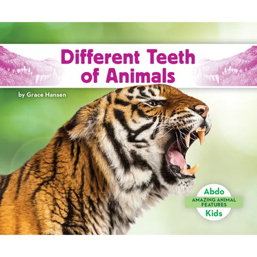 Different Teeth of Animals