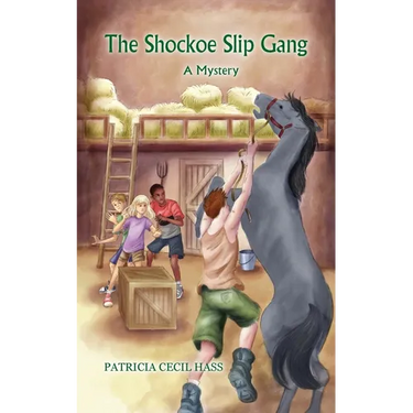 The Shockoe Slip Gang: A Mystery