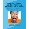 Gathered Photos Of The Ancient Hebrews In Europe: The Hebrews were and are black
