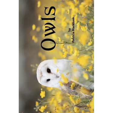 Owls: Grayscale Adult Coloring Book - Travel Size