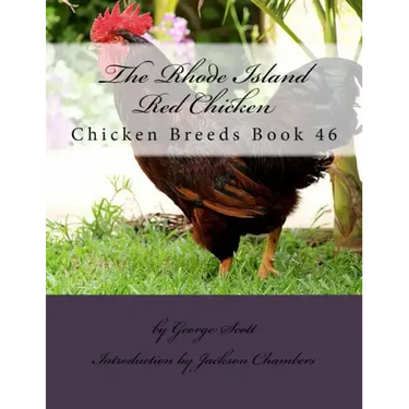The Rhode Island Red Chicken: Chicken Breeds Book 46