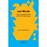 Last Words: Large Language Models and the AI Apocalypse