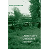 Dostoevsky's Unfinished Journey