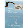 Sailing the Black Current: Secret History of Ancient Philippine Argonauts in Southeast Asia, the Pacific and Beyond