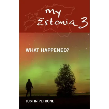 My Estonia 3: What Happened?