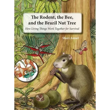 The Rodent, the Bee, and the Brazil Nut Tree: How Living Things Work Together for Survival