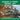 Swamps & Ponds Animal Life: 2nd Grade Geography Workbook Series