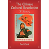 The Chinese Cultural Revolution: A History