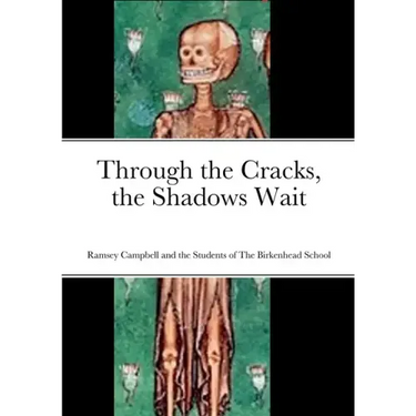 Through the Cracks, the Shadows Wait