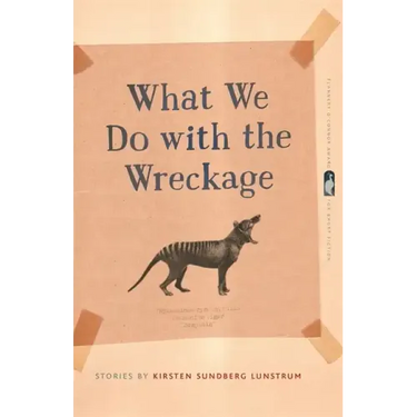 What We Do with the Wreckage: Stories