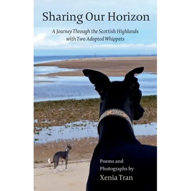 Sharing our Horizon: A Journey Through the Scottish Highlands with Two Adopted Whippets