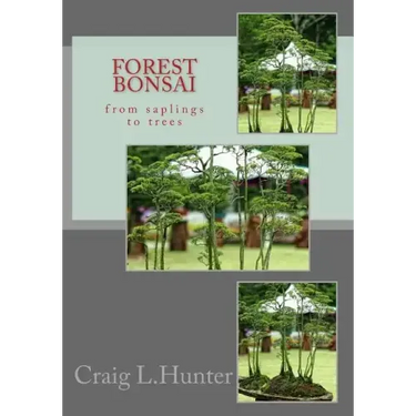 Forest Bonsai: from saplings to trees
