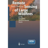 Remote Sensing of Large Wildfires: In the European Mediterranean Basin
