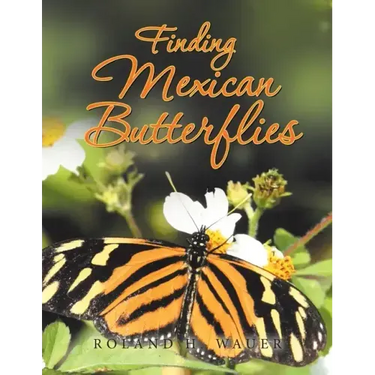 Finding Mexican Butterflies