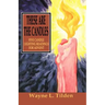 These Are The Candles: Five Candle Lighting Readings For Advent