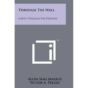 Through the Wall: A Boy's Struggle for Freedom
