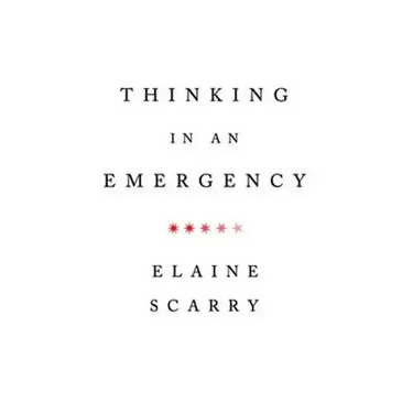 Thinking in an Emergency
