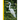 National Geographic Complete Birds of North America, 3rd Edition: Featuring More Than 1,000 Species with the Most Detailed Information Found in a Sing