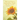 How Learning to Say Goodbye Taught Me How to Live: (A Spiritual Memoir)