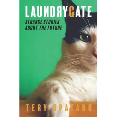Laundrygate: Strange Stories About the Future