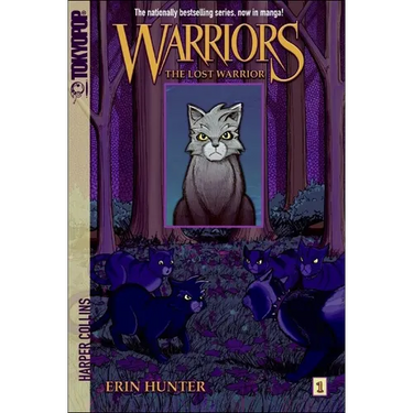 The Lost Warrior