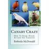 Canary Crazy: How To Keep, Breed, & Care For Canaries