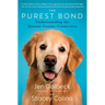 The Purest Bond: Understanding the Human-Canine Connection