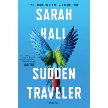 Sudden Traveler: Stories