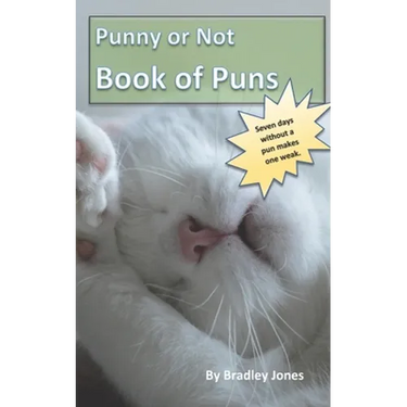 Punny or Not Book of Puns