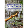 Savannah, Augusta & Brier Creek: The conquest of Georgia in the American Revolution