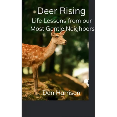 Deer Rising Life Lessons from our Most Gentle Neighbors