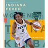 The Story of the Indiana Fever: The Wnba: A History of Women's Hoops: Indiana Fever