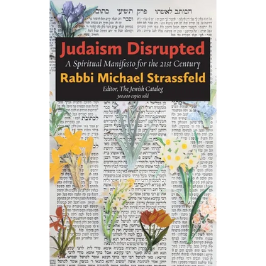 Judaism Disrupted: A Spiritual Manifesto for the 21st Century