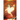 Welcome Holy Spirit: 50 Day Devotional--Path to a Spirit Filled Life