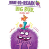 Big Bub, Small Hat: Ready-To-Read Ready-To-Go!