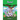 Awoo!: Volume 1