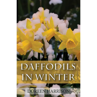 Daffodils in Winter
