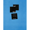 Small Worlds: Minimalism in Contemporary French Literature