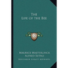 The Life of the Bee