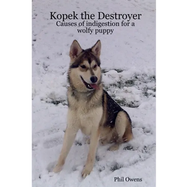 Kopek the Destroyer