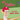 Go Phillies Rally Book