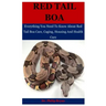 Red Tail Boa: Everything You Need To Know About Red Tail Boa, Care, Housing, Caging And Health Care