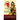 The Eyes of Buddha