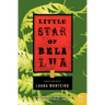 Little Star of Bela Lua: Stories from Brazil